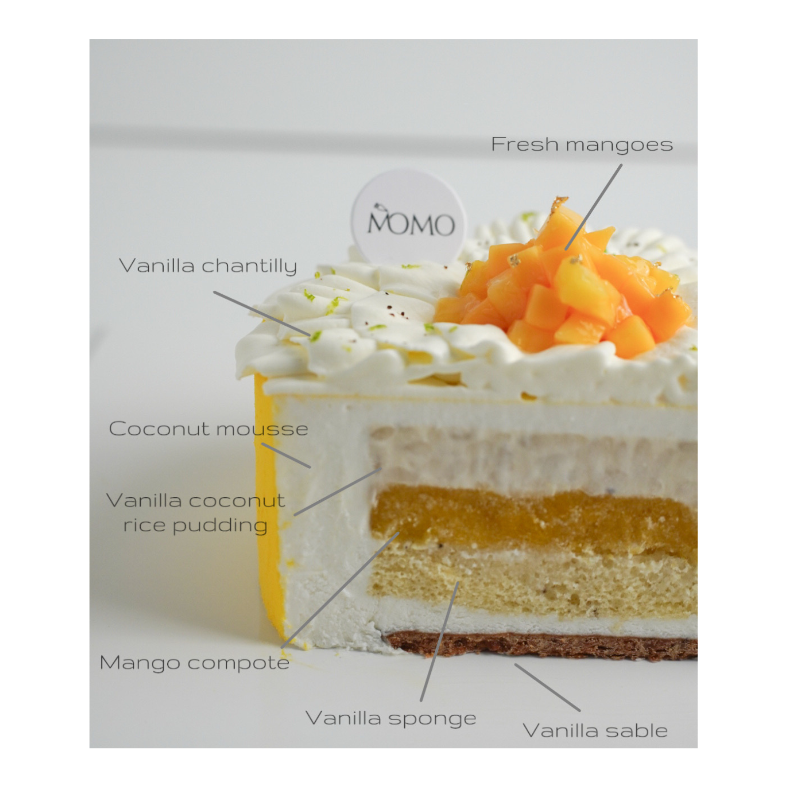 Coconut Mango